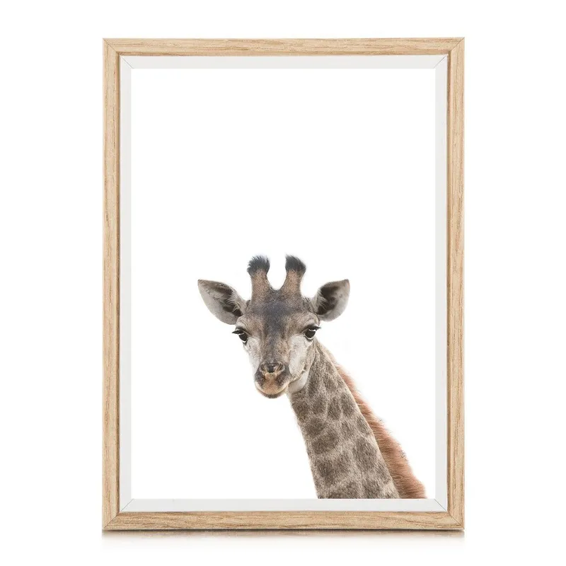 Safari babies | Sophie - Image 3