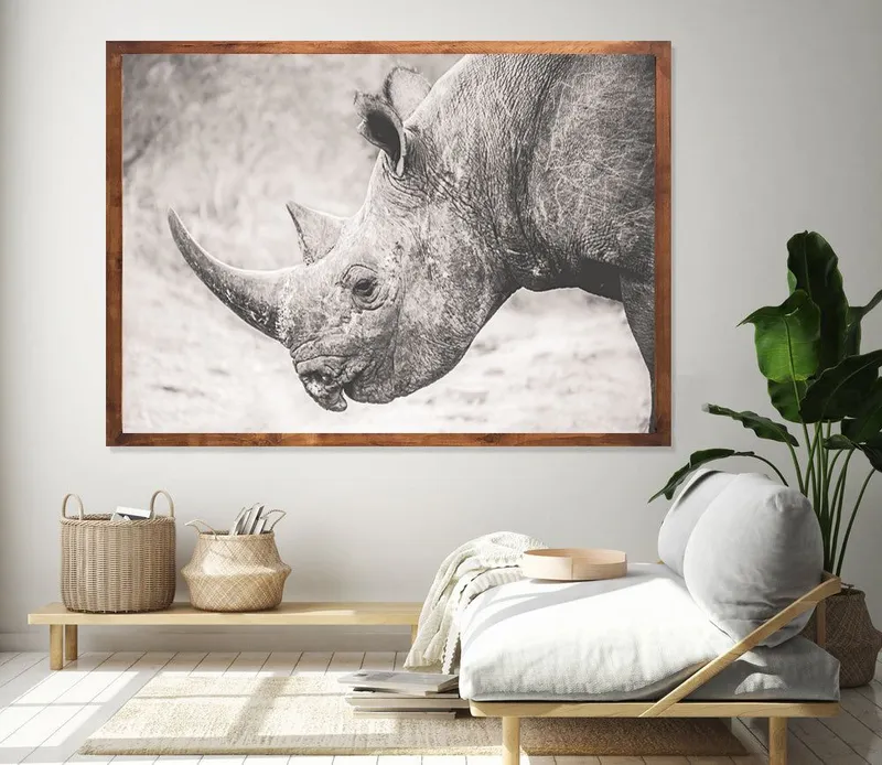 Black Rhino - Image 1