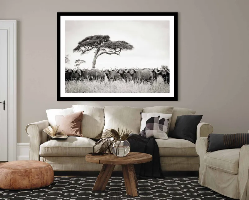 Buffalo stare down - Image 8