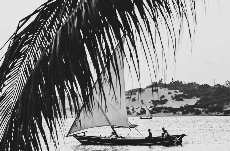 Palm Lane - Image 2