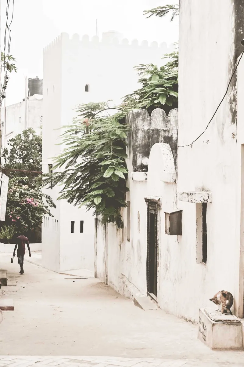 The Backstreet - Image 2