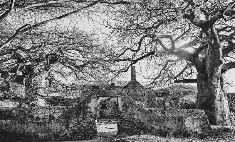 The Settlement - Image 2