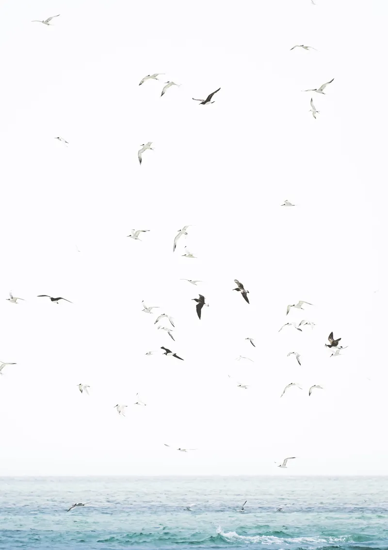 Waves - Image 6
