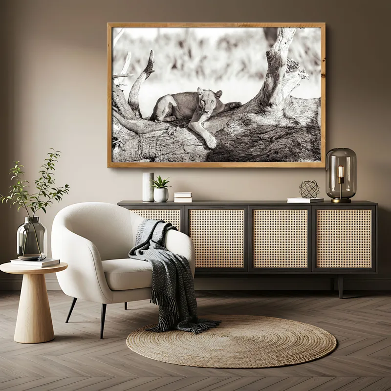 Okavango queen - Image 1