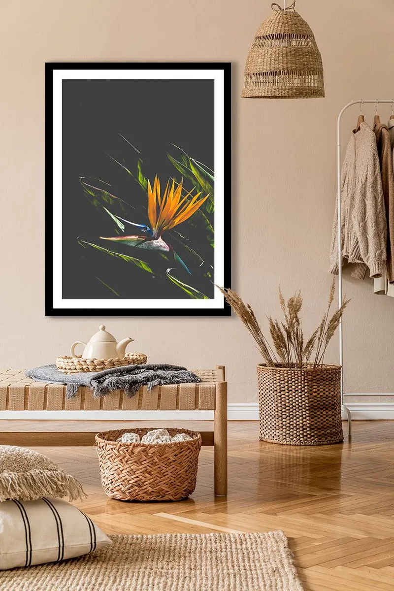 Bird of Paradise - Image 7