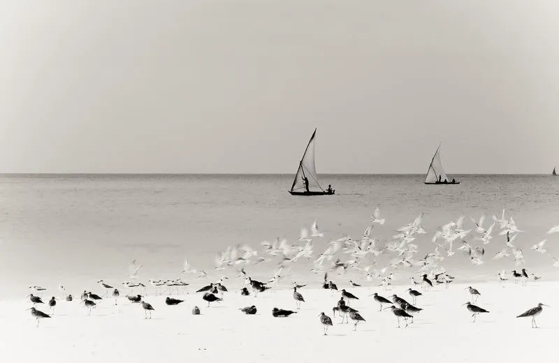 Contrasting seas - Image 2