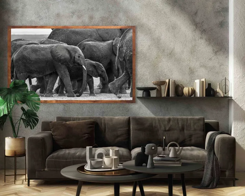 On the track - Image 1