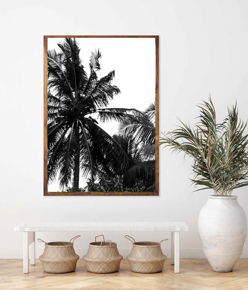 Denis Palm - Image 2