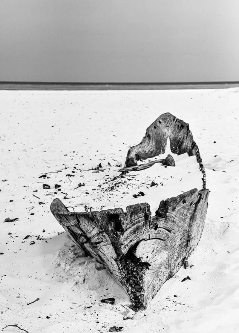 Lone - Image 2