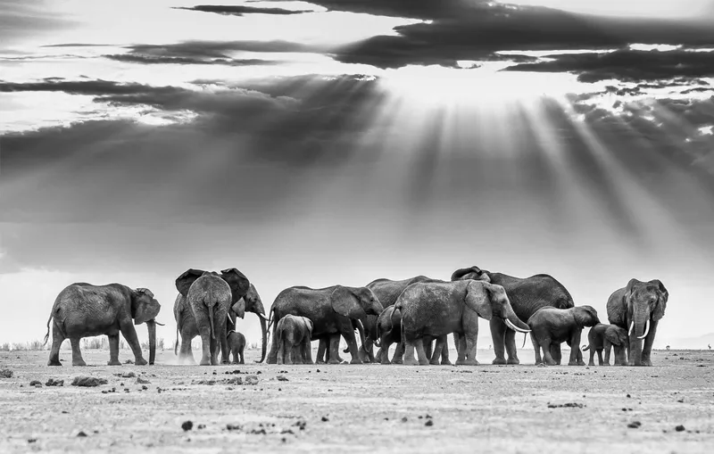 Heaven Sent - Image 2