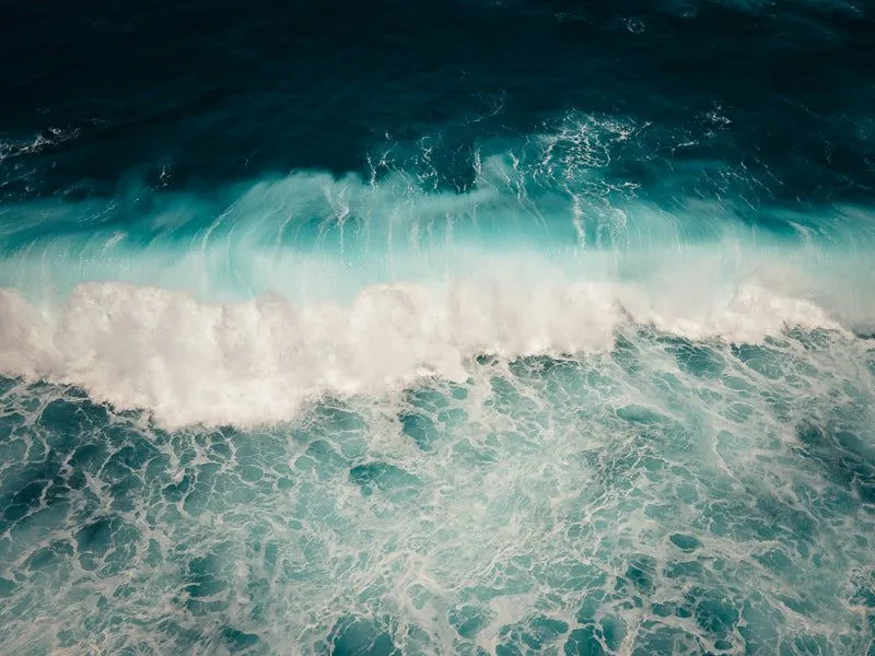 Dreams and waves - Image 2