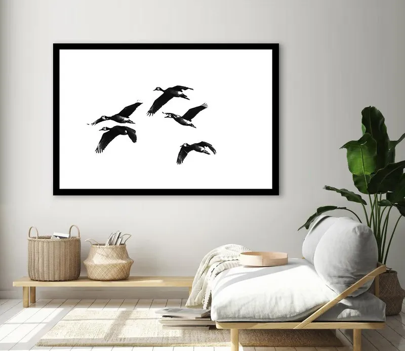 Whistling Ducks - Image 7