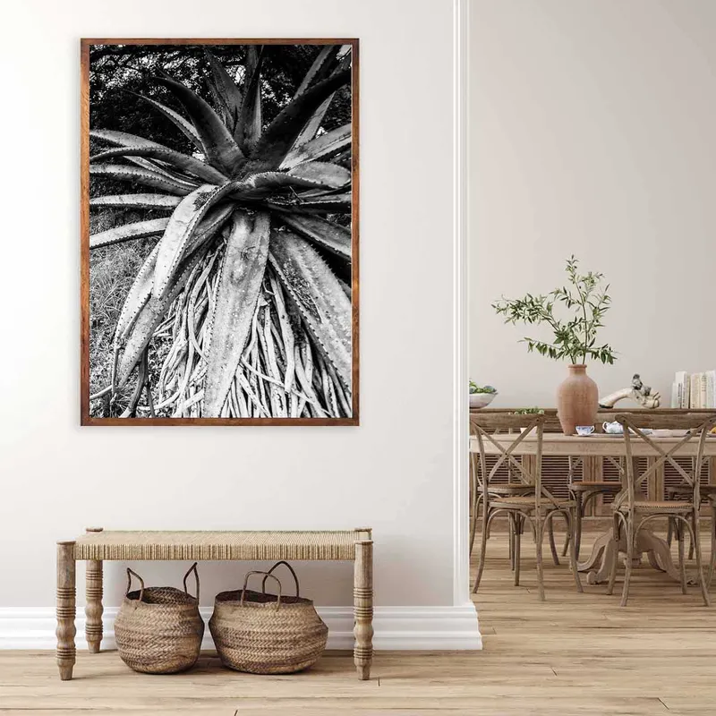 Battlefields - Image 1