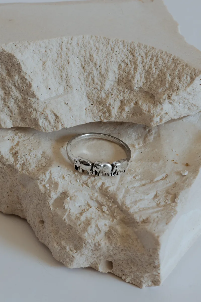 Three Elephant Ring - Image 3