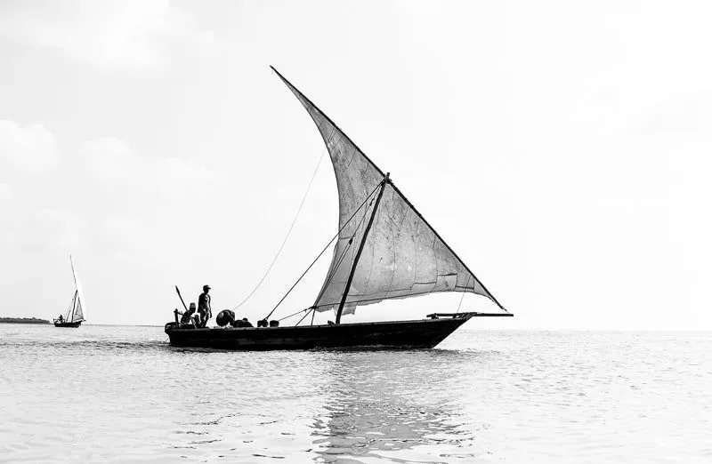 North - Image 2