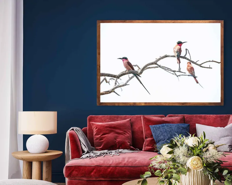 Carmines perched - Image 1