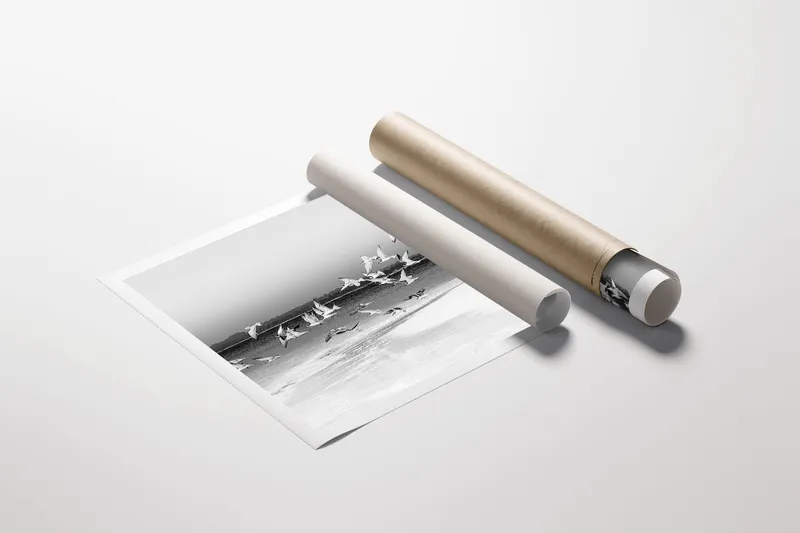 Island Nesting B&W Rolled Canvas - Image 2