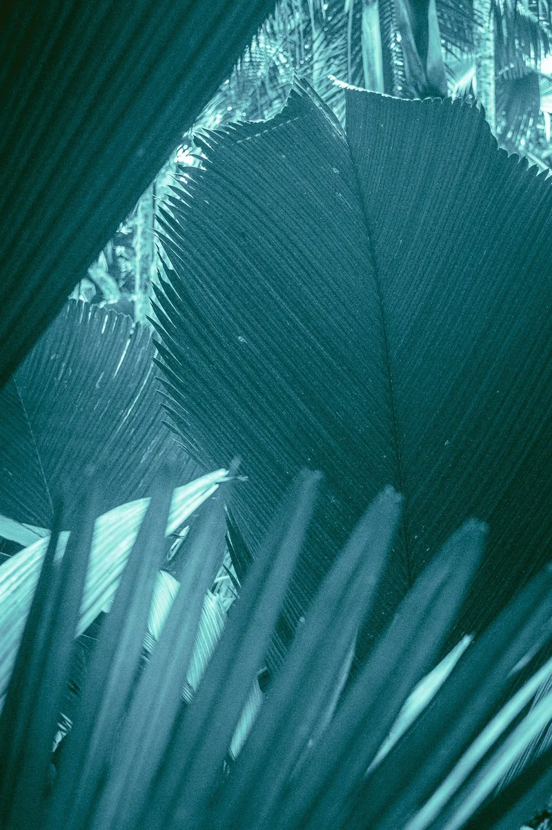 A place to rest - Image 2