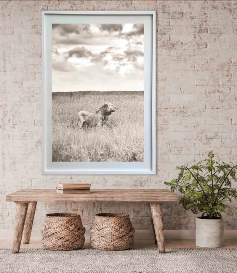 The Kingdom - Image 7