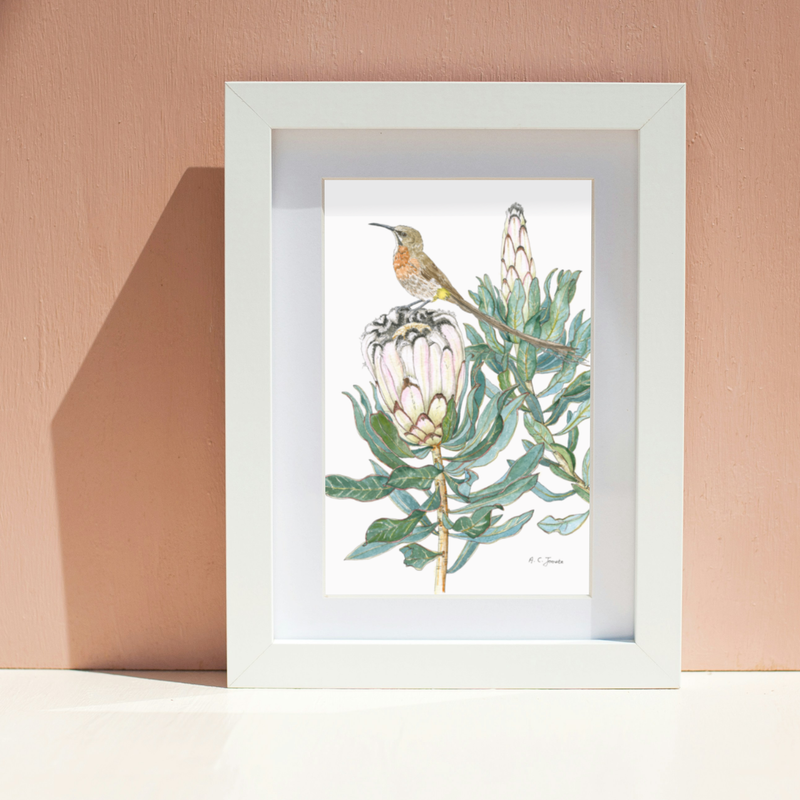 Fine Art print ~ A2