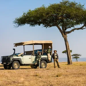 Safari