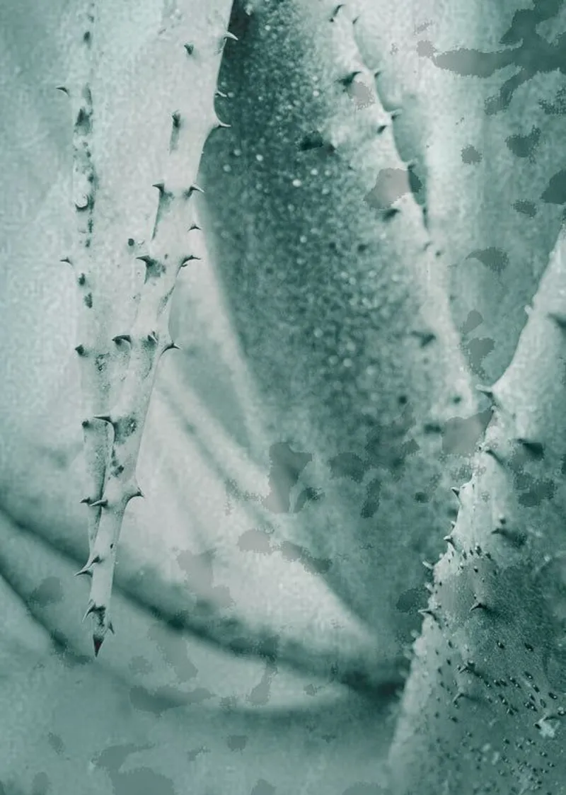 Angled - Image 2