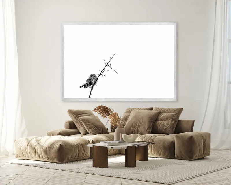 Spotted Spots - Image 7