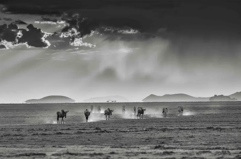 Into the storm - Image 2