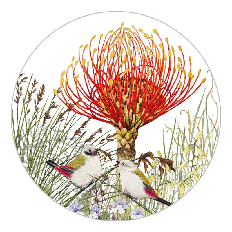 Coaster - Spring Fireworks - Image 1