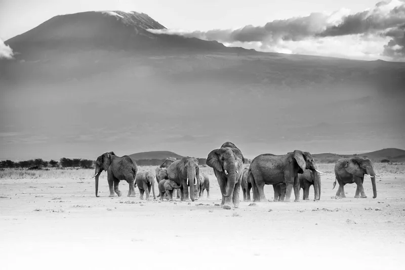 Matriarchy - Image 2