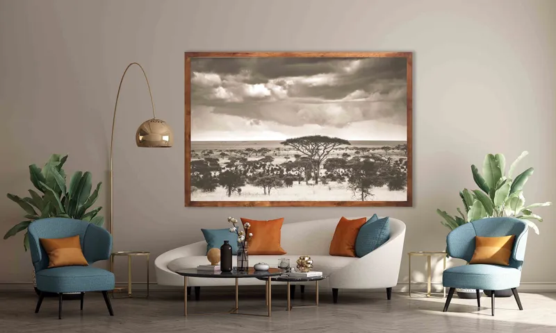 The plains - Image 1