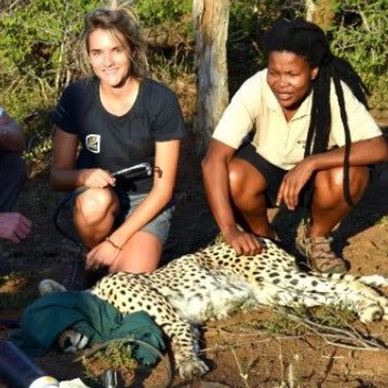 Wildlife ACT Charity Bracelet - Image 6