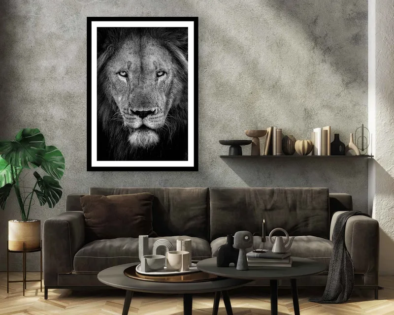 Power (limited edition) - Image 7