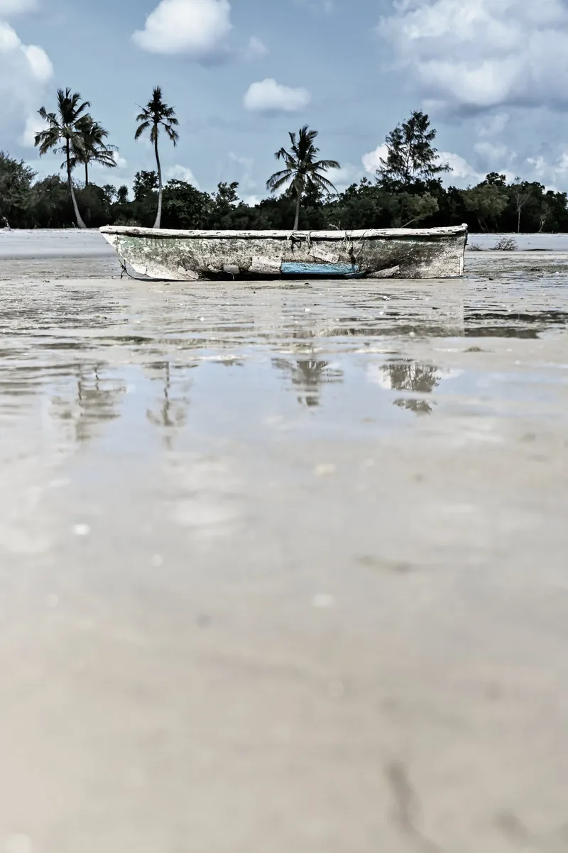 Strandline - Image 2