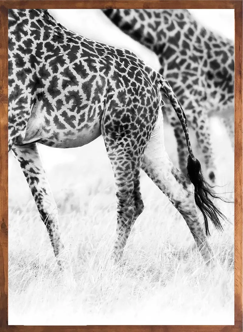 Journeys Set - Image 3