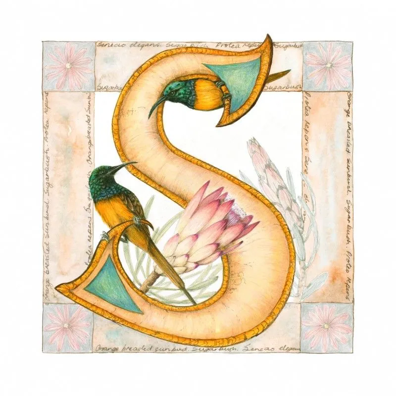 Bush Babies - Individual Letter Print - Image 2