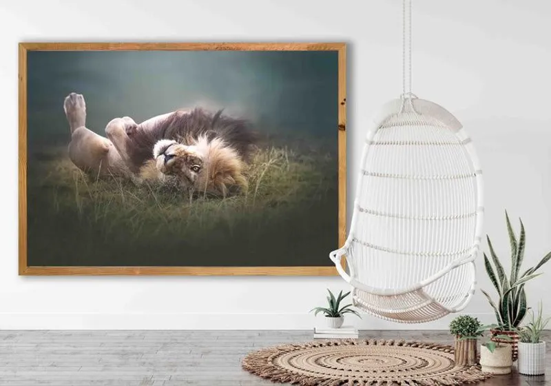 A King Under The Spotlight - Image 1