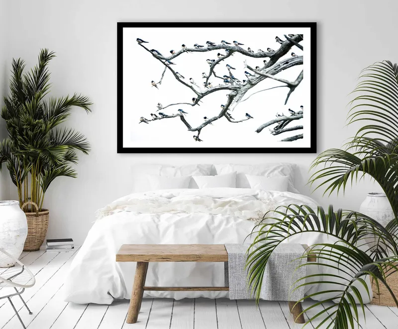 Faded Flock - Image 8