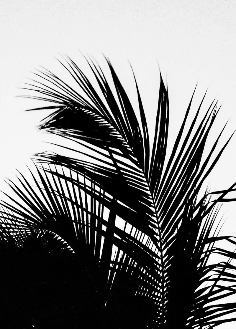 Contrast - Image 2