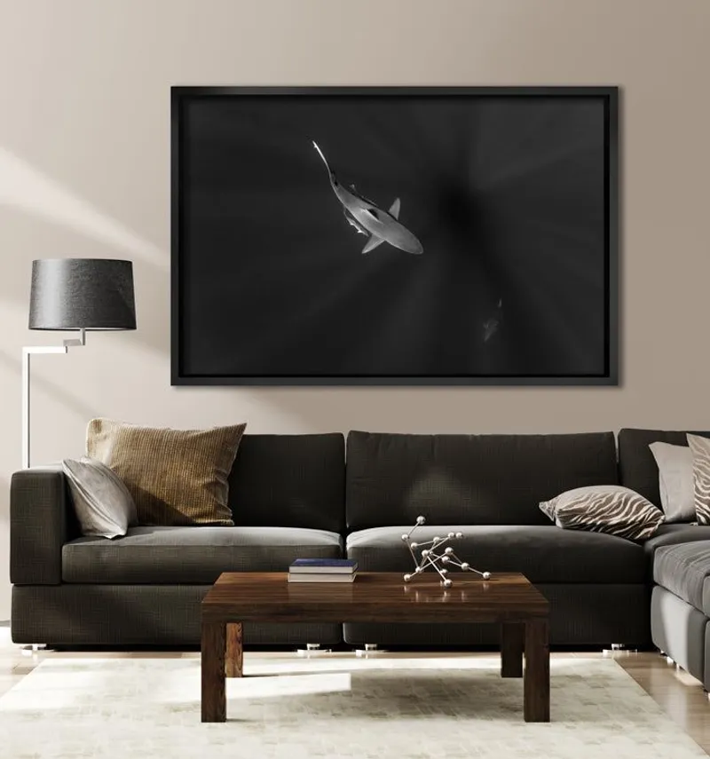 Sunlit Predator - Image 8