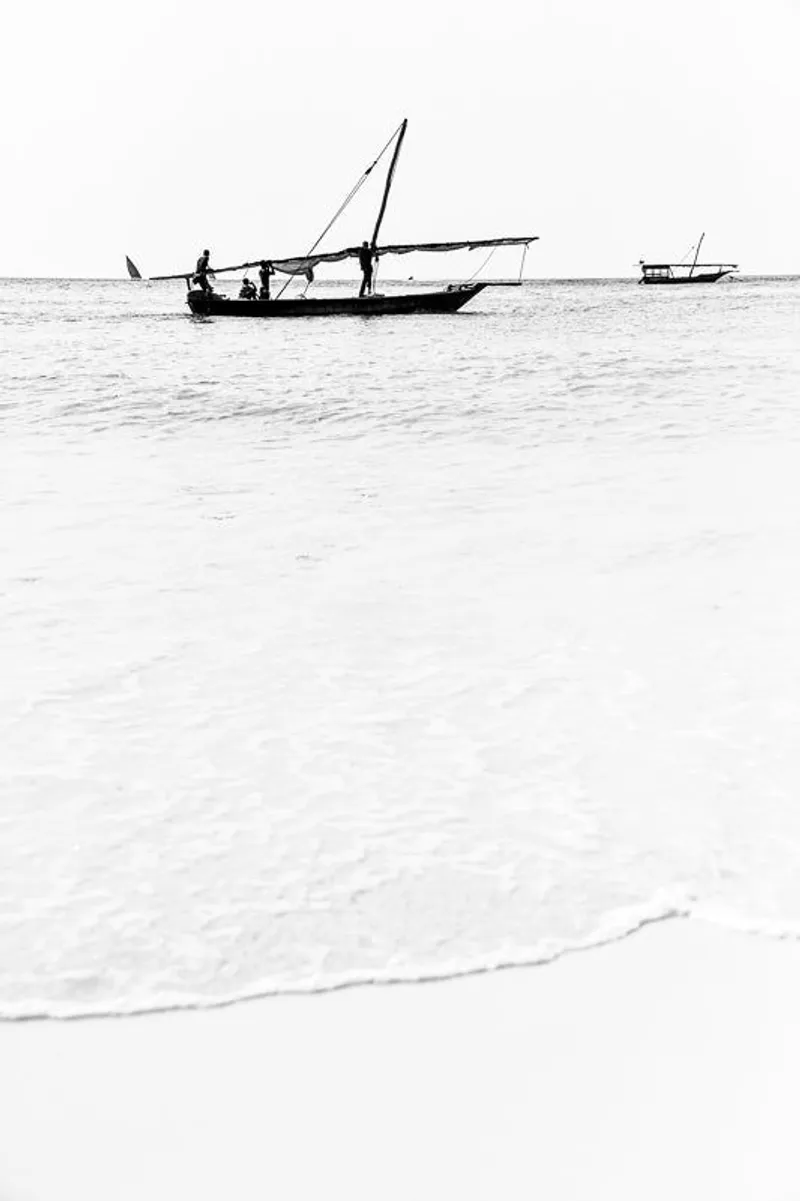 Shore - Image 2