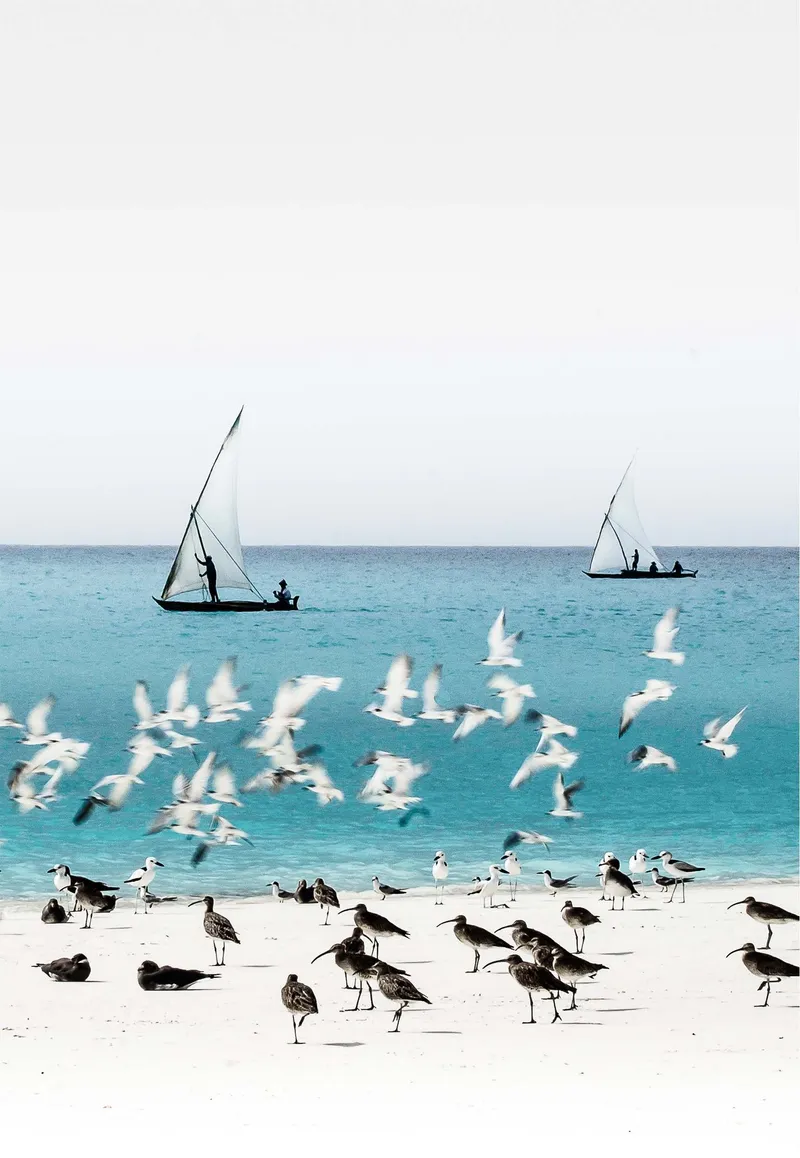 Mnemba Island - Image 2