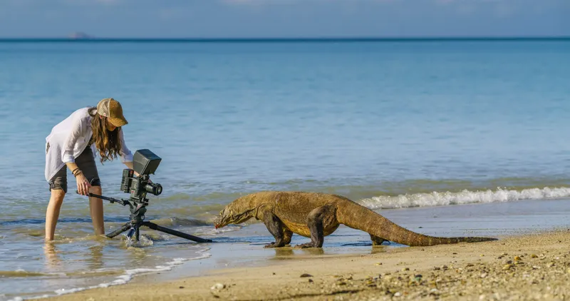 Wild in Africa - Image 3