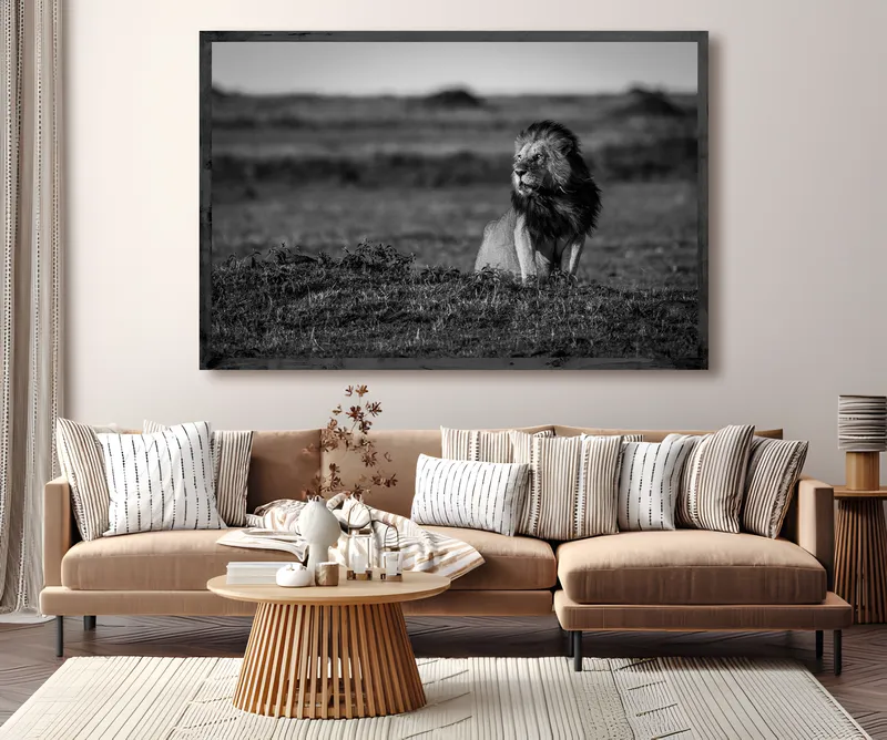 The Mara - Image 1