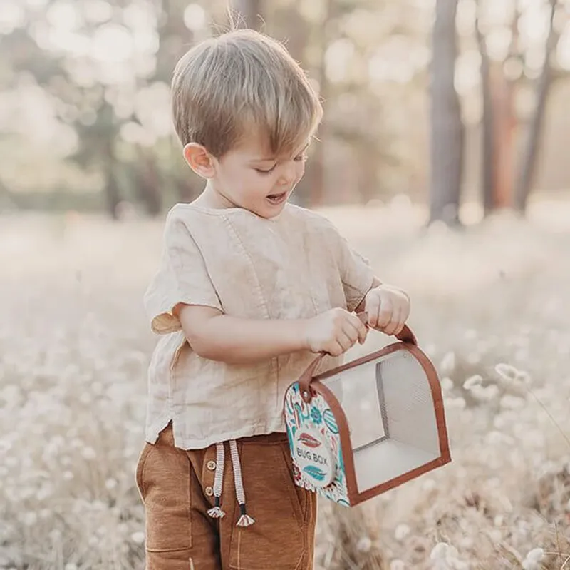 Bug Box & Accessories - Image 2