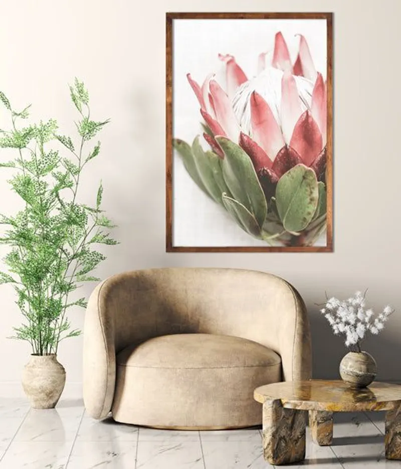 Single Protea - Image 1