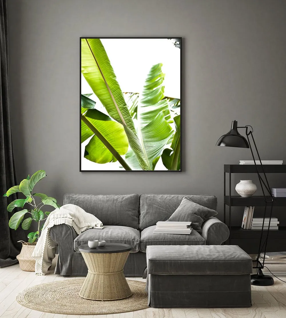 Banana leaf 1