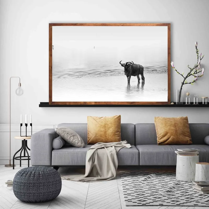 Gnu - Image 1