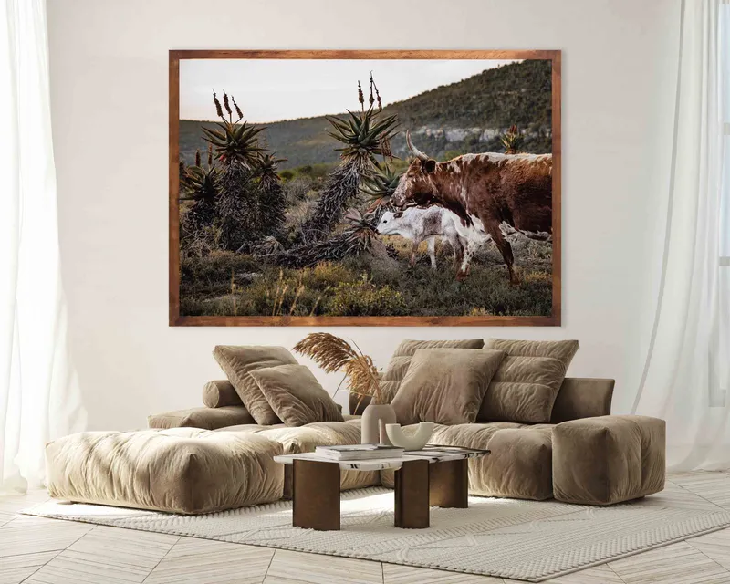 Nguni and aloe - Image 1