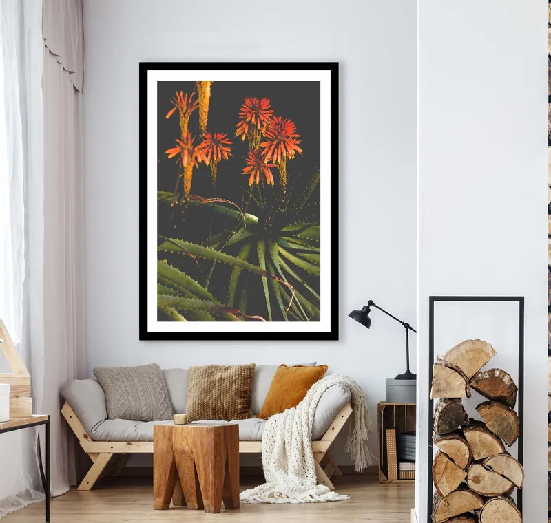 Winter bloom - Image 7